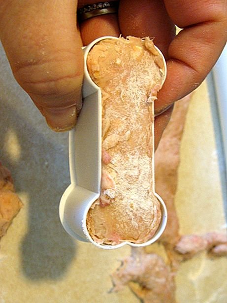 baking treats for your dog easy cheap crunchy beef bones recipe to make at home 10