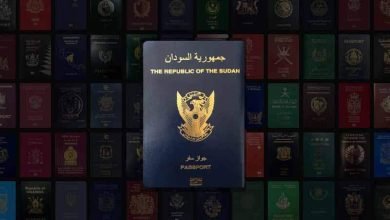 FB IMG 1669090616245