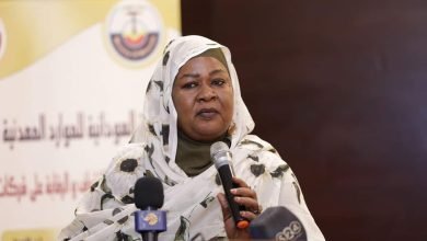 وزير الاستثمار تكشف عن تشجيع ومحفزات بقانون الاستثمار المرتقب 17 FB IMG 1669310656523