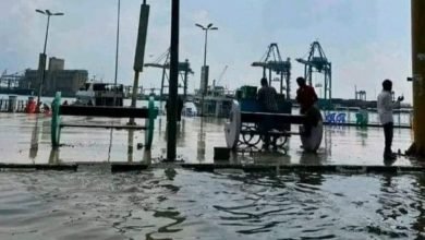 FB IMG 1669397519099