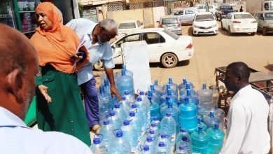 IMG 20221114 WA0008 1