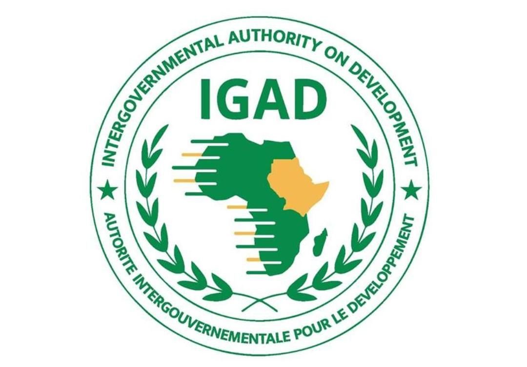 IMG 20221101 110632 387