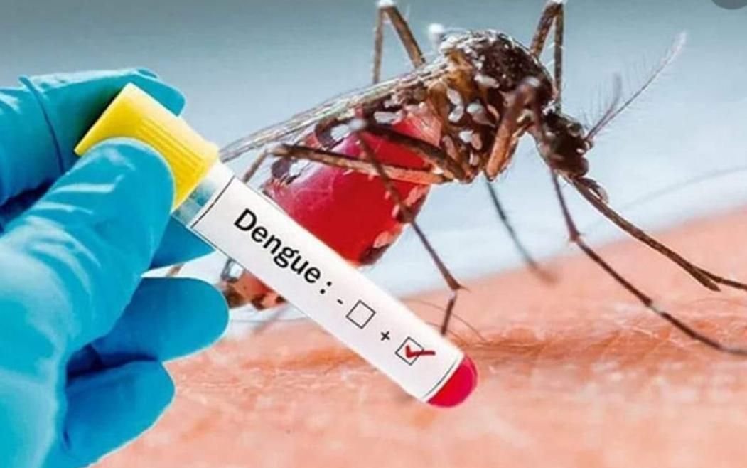 IMG 20221102 142406 099