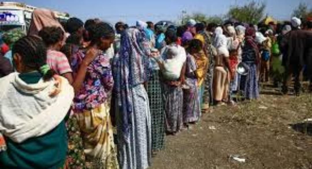 IMG 20221105 065508 624