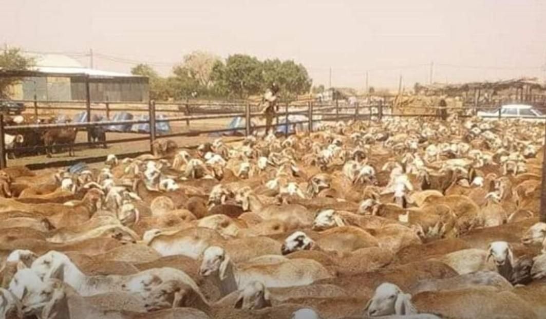 IMG 20221105 080032 683