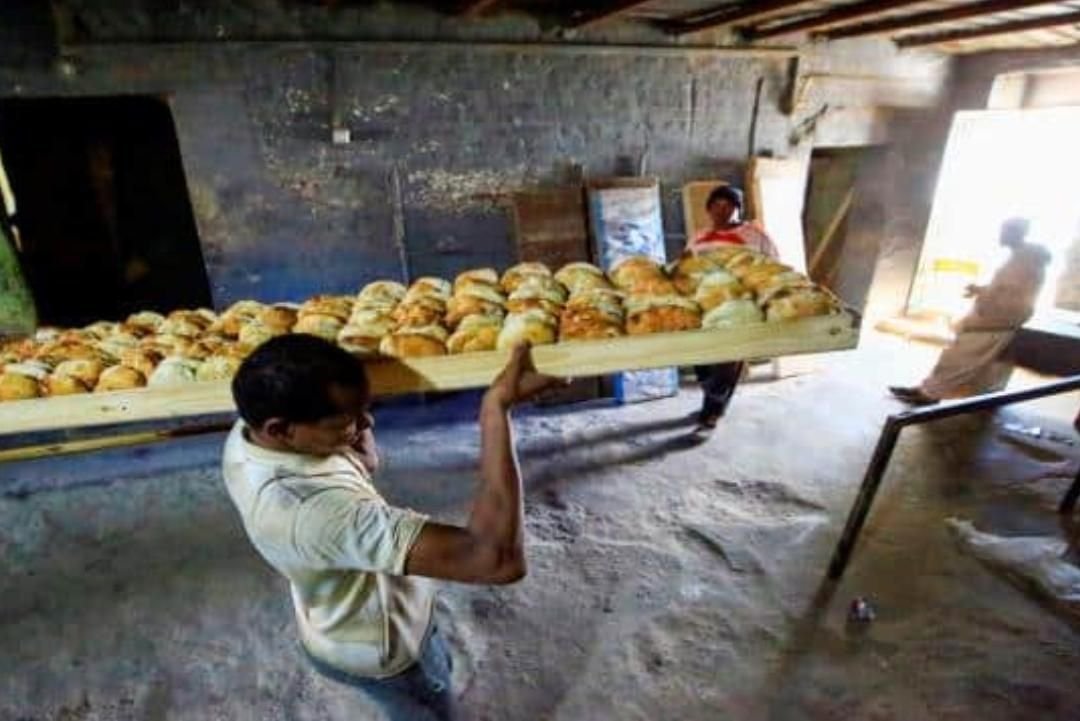 IMG 20221108 090105 913