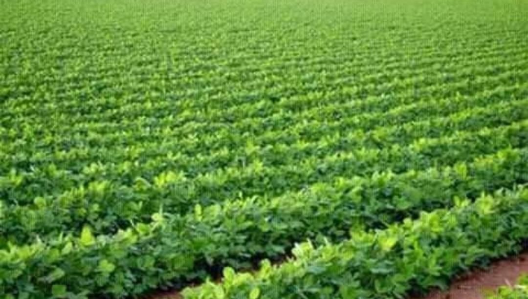 IMG 20221108 201447 953