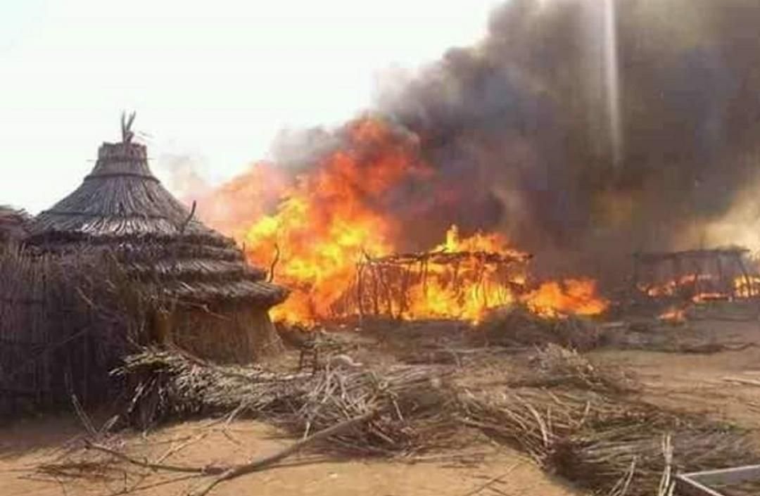 IMG 20221108 230441 620