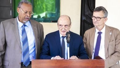 IMG 20221112 074542 801