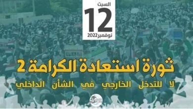 IMG 20221112 123324 431