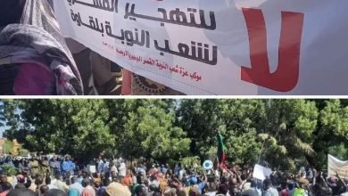 IMG 20221113 065834 168