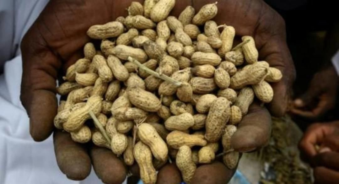 IMG 20221113 121306 155