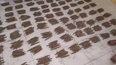 IMG 20221114 060147 955