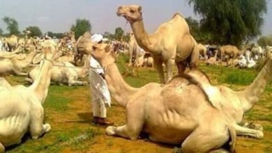 IMG 20221115 110833 428