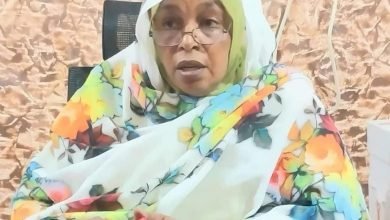 IMG 20221115 113623 031