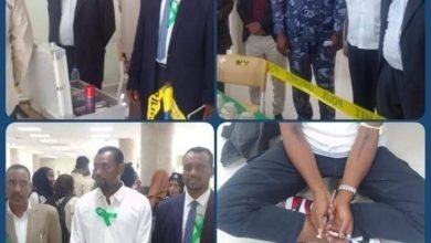 IMG 20221116 092757 982