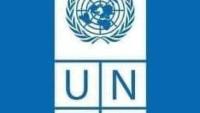 IMG 20221116 094934 734