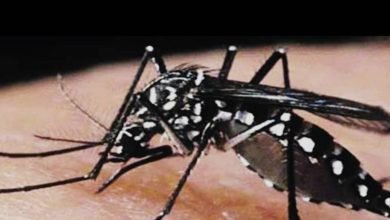 IMG 20221116 193008 591