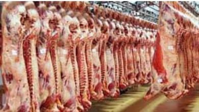 IMG 20221116 212405 616