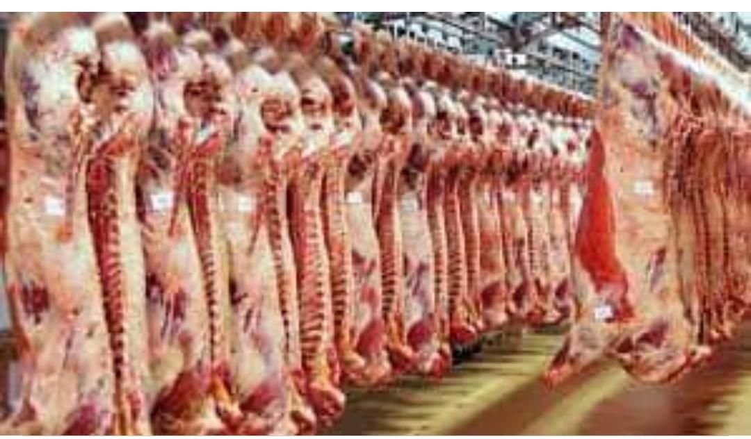 IMG 20221116 212405 616