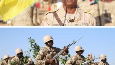 IMG 20221117 073748 518