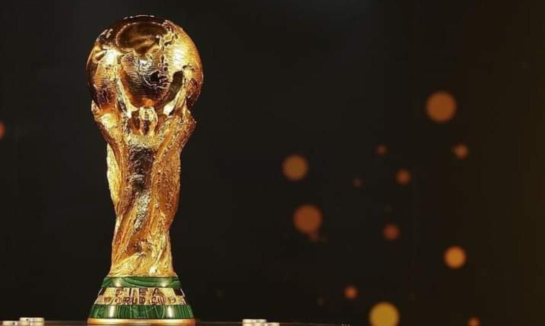 IMG 20221118 164132 584