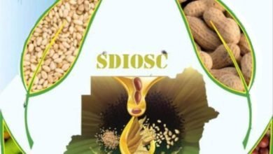 أصحاب العمل يتعهد بإعادة قطاع الحبوب الزيتية لسيرته الأولى 17 IMG 20221119 131408 648