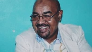 IMG 20221119 195627 584