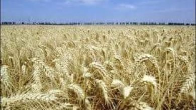 IMG 20221120 112216 241