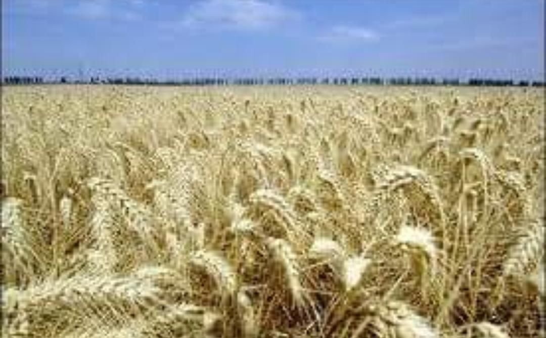 IMG 20221120 112216 241