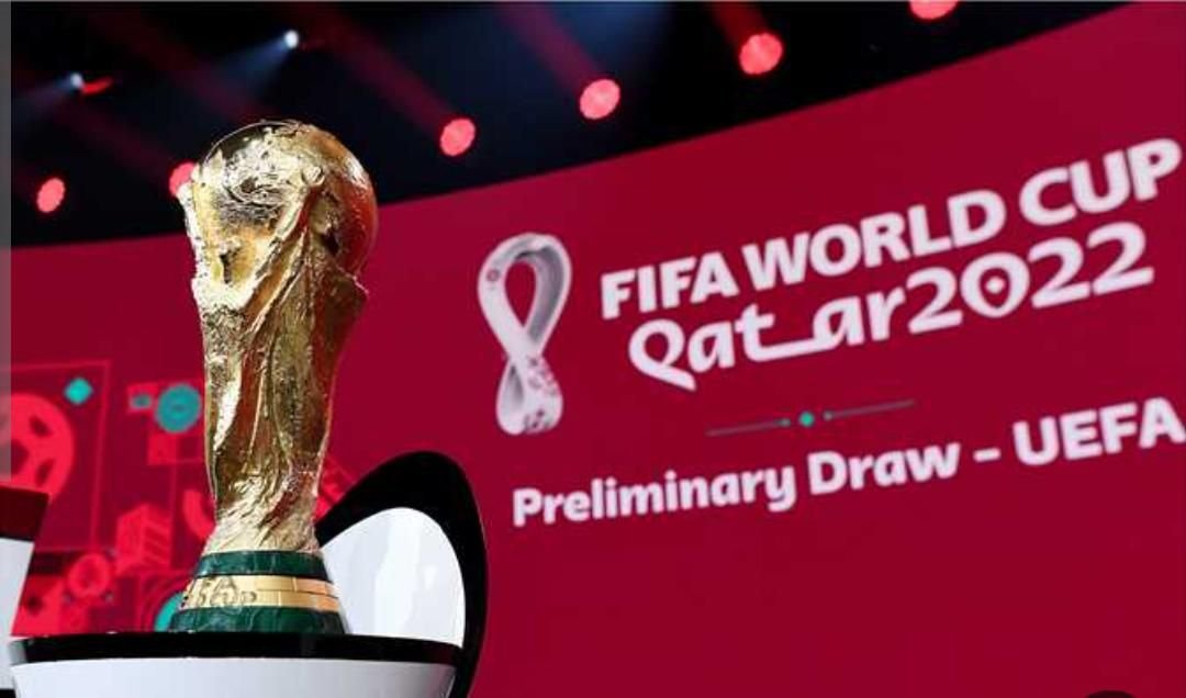 IMG 20221120 113514 013