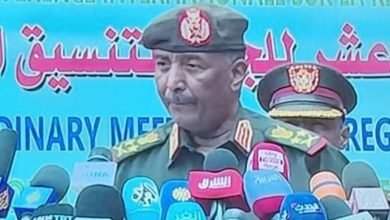 IMG 20221122 122429 579