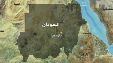 IMG 20221127 061636 863