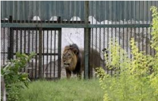 Screenshot 20221103 164509 Samsung Internet