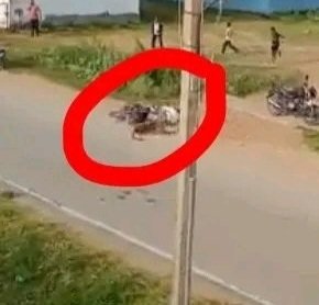 operanews1667649395833