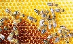 FB IMG 1670782356078