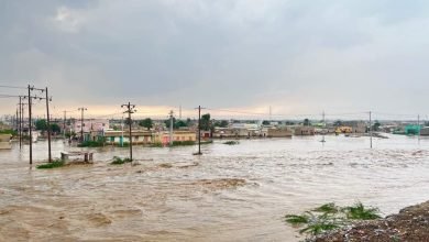 FB IMG 1671735054183