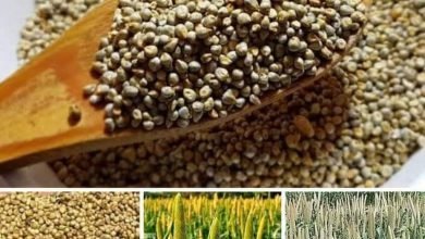 FB IMG 1671871826861