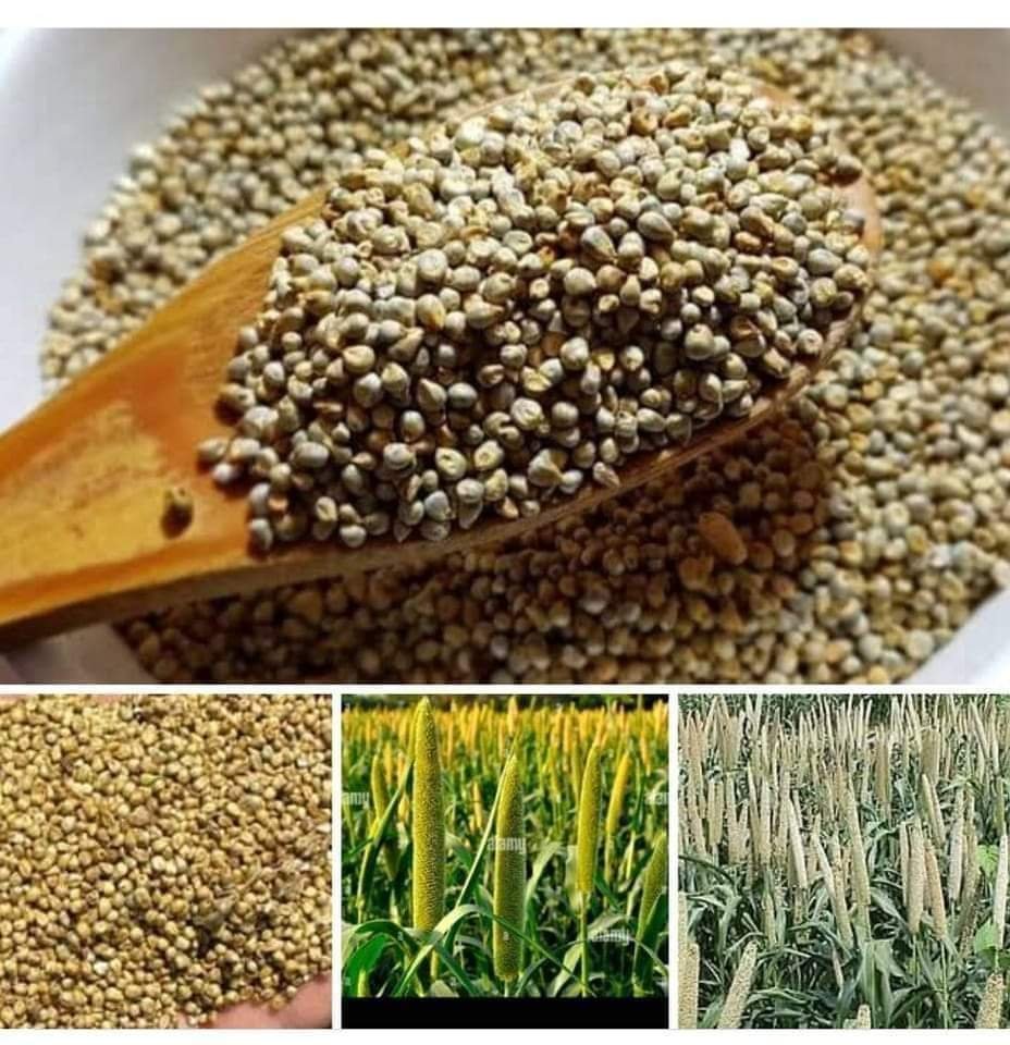 FB IMG 1671871826861