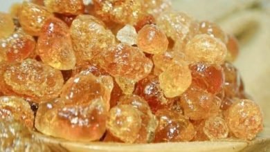 FB IMG 1672252373563 1