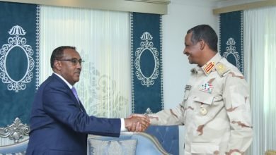 دقلو يلتقي وزير الخارجية الإثيوبي 16 IMG 20221201 WA0006 1