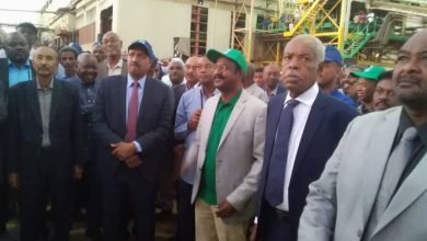 انطلاق موسم إنتاج سكر كنانة ب ( 250) ألف طن 14 IMG 20221203 WA0026 1