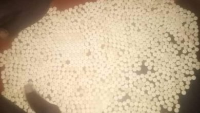 ضبط عربة بداخلها (1365) حبوب ممنوعة بكبري الحلفايا 17 IMG 20221203 WA0030