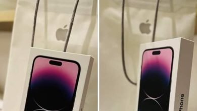 فرفور يهدي هذا الفنان هاتفا ثمينا 14 IMG 20221205 WA0041