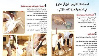 المواصفات : إنخفاض نسبة الفائض من جلود الأضاحي هذا العام 16 IMG 20221211 WA0008