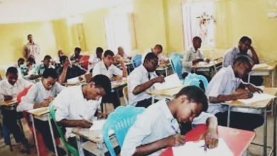 IMG 20221201 202101 549