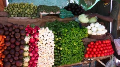 IMG 20221212 220426 765