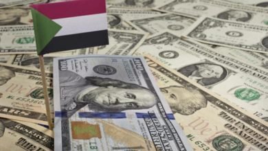 خبير اقتصادي يستبشر بقيام صندوق استثماري عربي بالسودان 18 IMG 20221213 214850 637