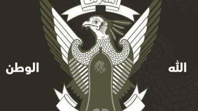 IMG 20221218 200218 245