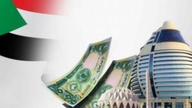 IMG 20221219 184526 353